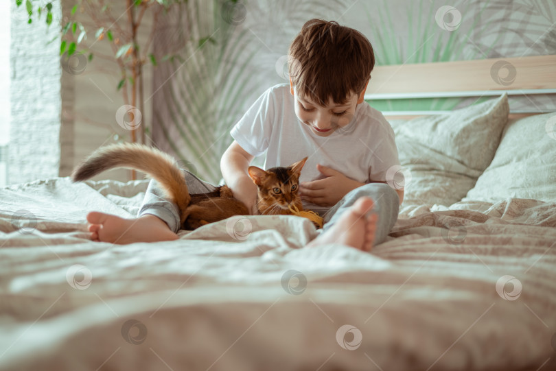 Скачать Маленький мальчик играет с рыжим котом, котенком породы сомли. Концепция People children дети с домашними животными. фотосток Ozero