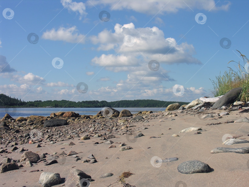 Скачать Белое море, прибрежная зона. фотосток Ozero