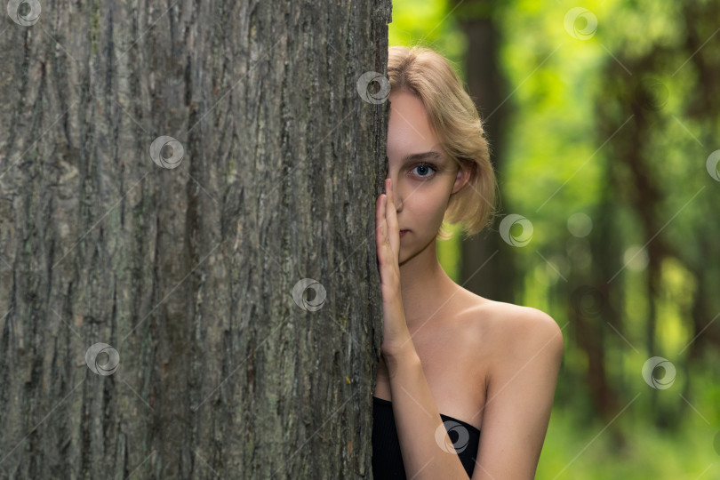 Скачать красивая девушка выглядывает из-за дерева в лесу фотосток Ozero