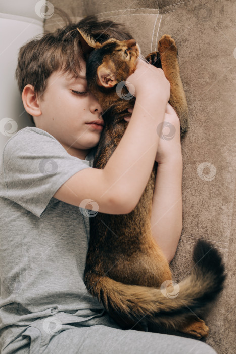 Скачать Вертикальный вид сверху маленький мальчик лежит на диване и обнимает за пушистый хвост рыжего котенка сомалийской породы. фотосток Ozero