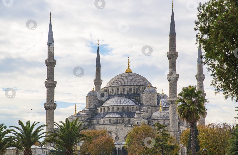 Скачать Вид на Голубую мечеть в Стамбуле, Турция фотосток Ozero