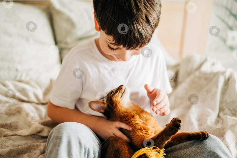 Скачать Маленький мальчик играет с рыжим котом, котенком породы сомли. Концепция People children дети с домашними животными. фотосток Ozero
