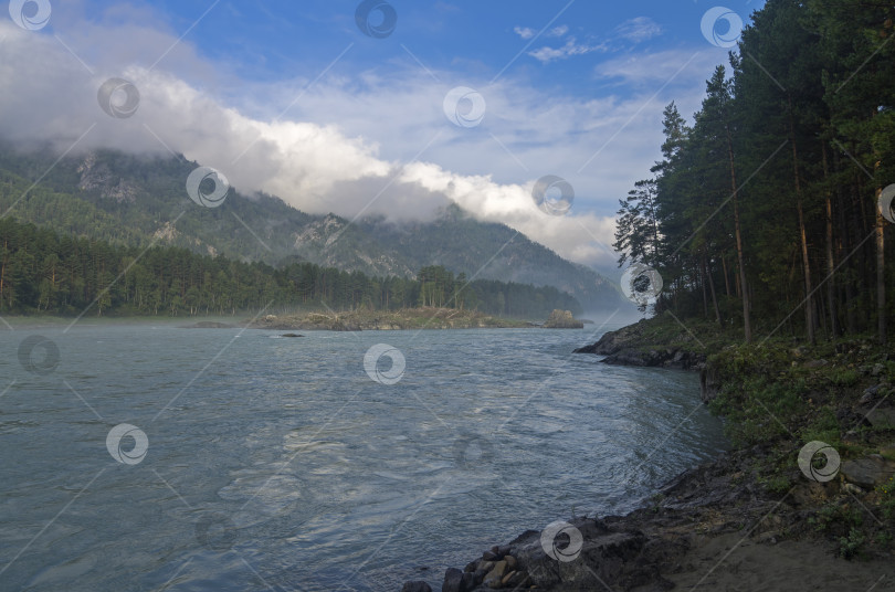 Скачать Утренний туман над рекой. Горный Алтай, Россия. фотосток Ozero