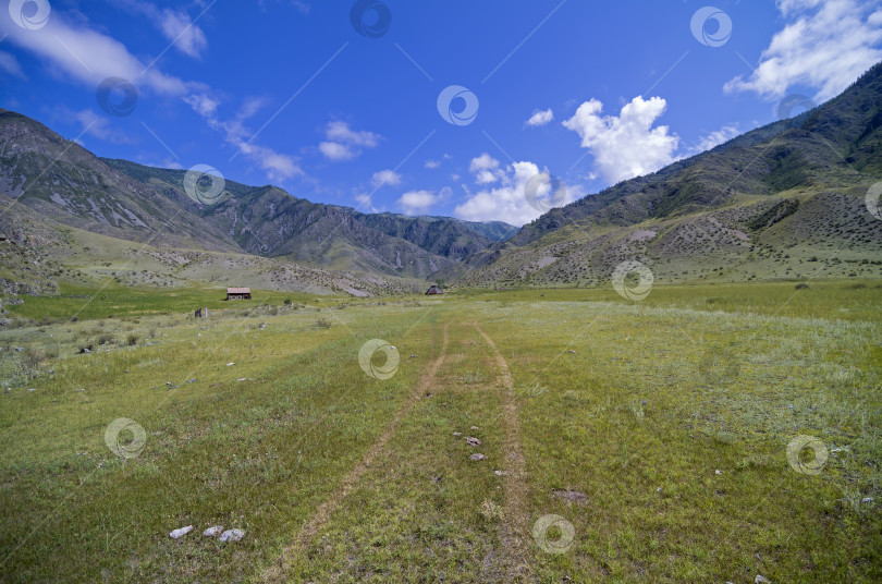 Скачать След от машины на лугу. фотосток Ozero