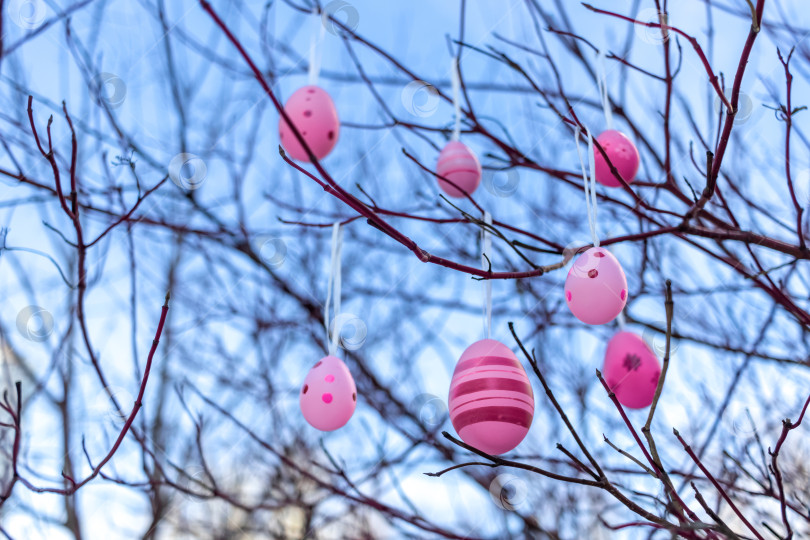 Скачать Пасха. Розовые пасхальные яйца на ветвях дерева на фоне голубого неба. Атмосфера ранней нежной весны фотосток Ozero