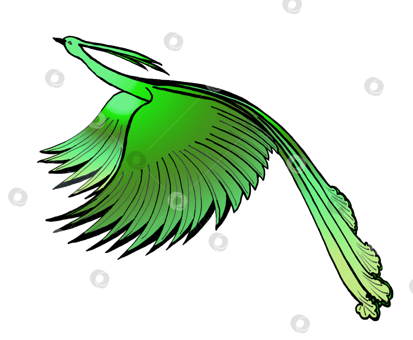 Скачать Изумрудно-зеленая райская птица с длинным развевающимся хвостом взмахнула большими крыльями фотосток Ozero