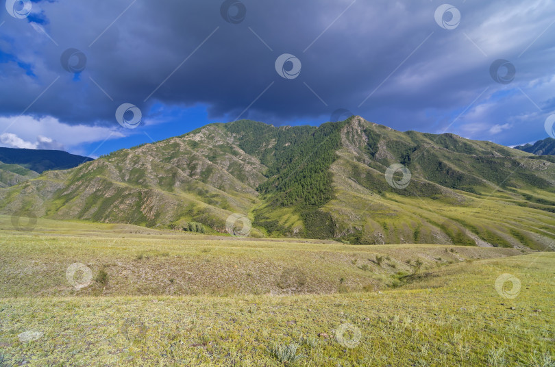 Скачать Горный пейзаж, Алтай, Россия. фотосток Ozero