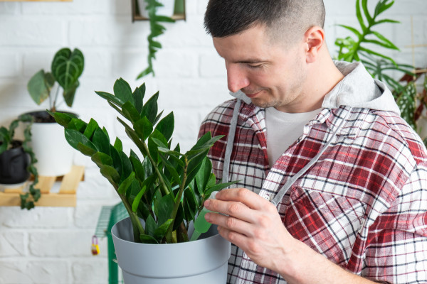 [object Object] undefined