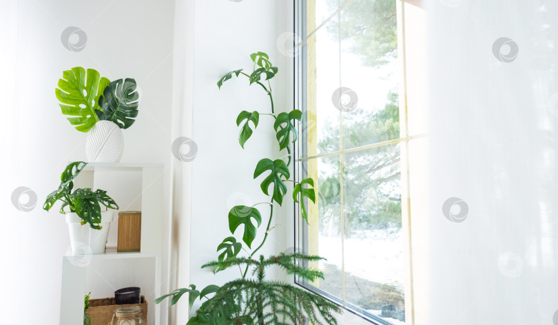 Скачать Интерьер дома с большими окнами, с планировкой и з фотосток Ozero