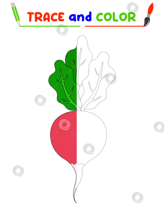 Скачать Обведите и раскрасьте редьку. Тренировочный лист для дошкольника фотосток Ozero