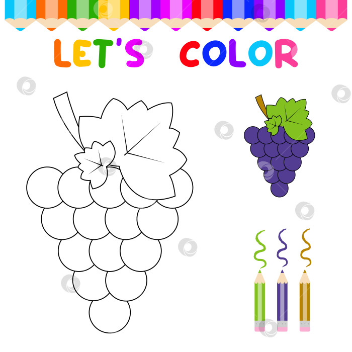 Скачать Книжка-раскраска для детей с виноградом.Рабочая тетрадь для детского сада фотосток Ozero