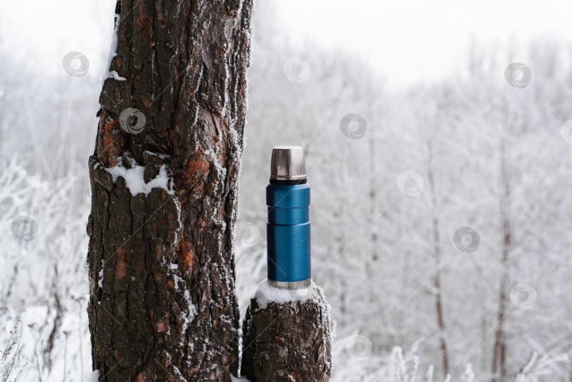 Скачать Термос в зимнем лесу. Походная термосумка, стоящая на пне рядом с сосной фотосток Ozero