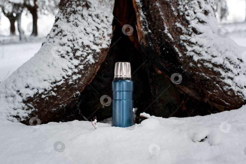Скачать Концепция зимнего кемпинга в лесу. Термос, стоящий на фоне старого дерева. Дорожная вакуумная колба фотосток Ozero