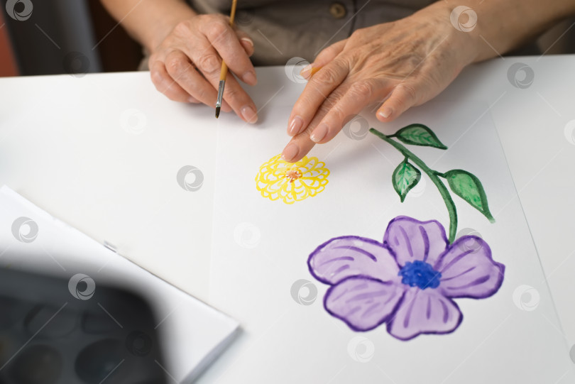 Скачать Женские руки рисуют цветок акварелью крупным планом. Концепция хобби на пенсии. Избирательный фокус фотосток Ozero