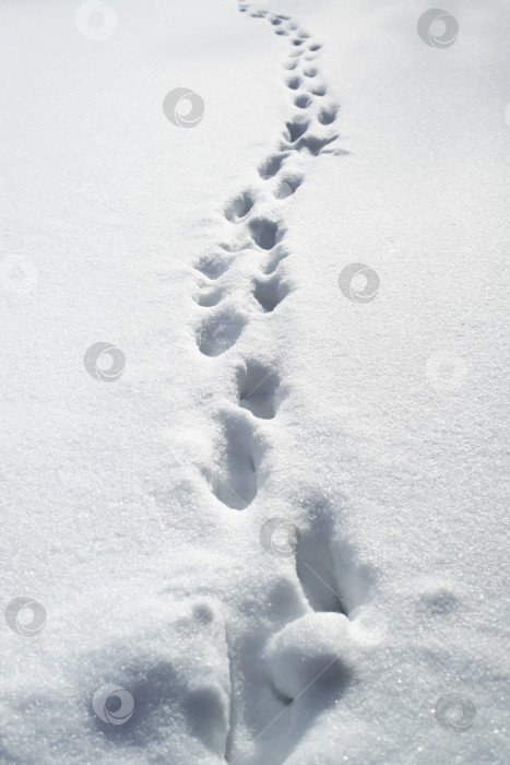Скачать Глубокие следы на снегу. Сугробы после метели, дороги не расчищены. фотосток Ozero