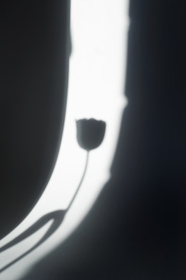 [object Object] undefined