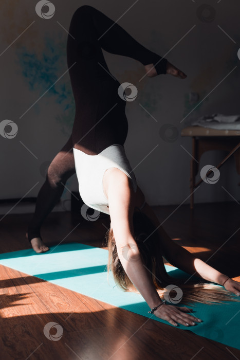 Скачать Женщина, практикующая йогу в студии, в позе собаки лицом вниз. Концепция йоги, здоровый образ жизни, растяжка фотосток Ozero
