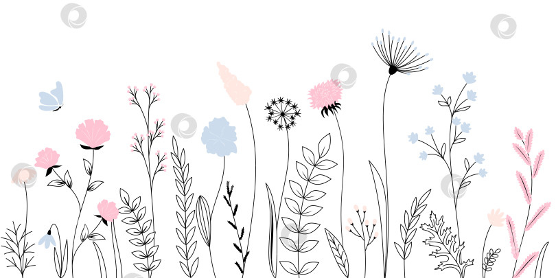 Скачать Полевые цветы, травы, букеты, растения и бабочки порхают. Полная векторная иллюстрация в стиле контура. фотосток Ozero