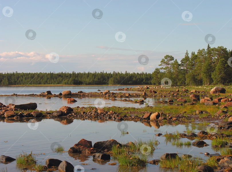 Скачать Белое море, Литораль, низкая вода фотосток Ozero