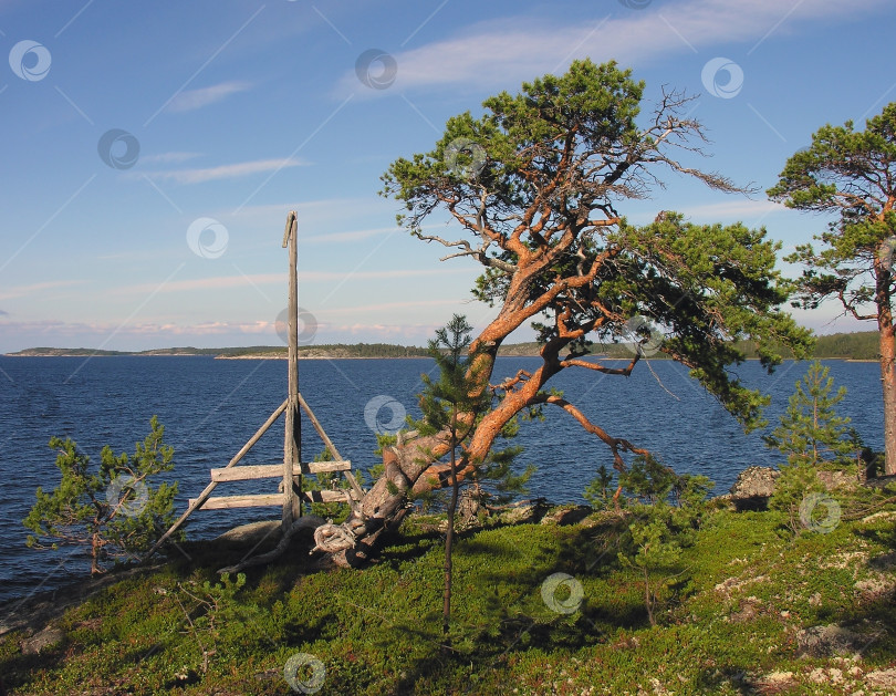 Скачать Деревянная триангуляционная вышка фотосток Ozero