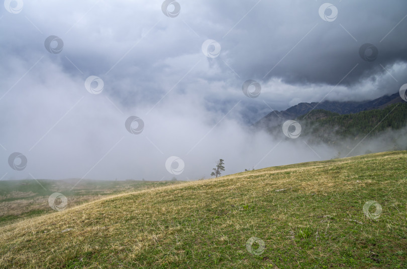 Скачать Горы в облаках. фотосток Ozero