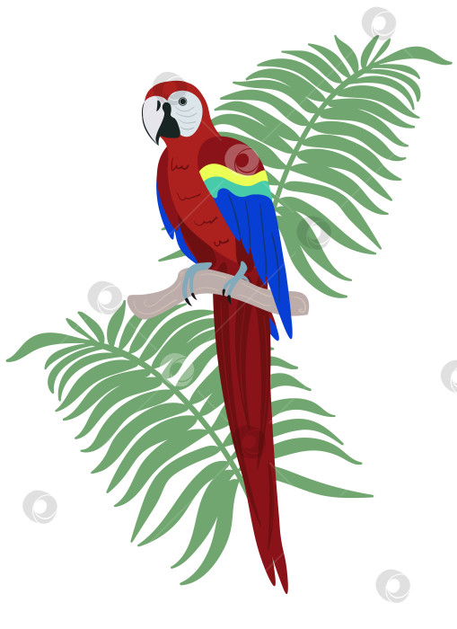 Скачать Ярко раскрашенный попугай ара с тропическими листьями на ветке фотосток Ozero