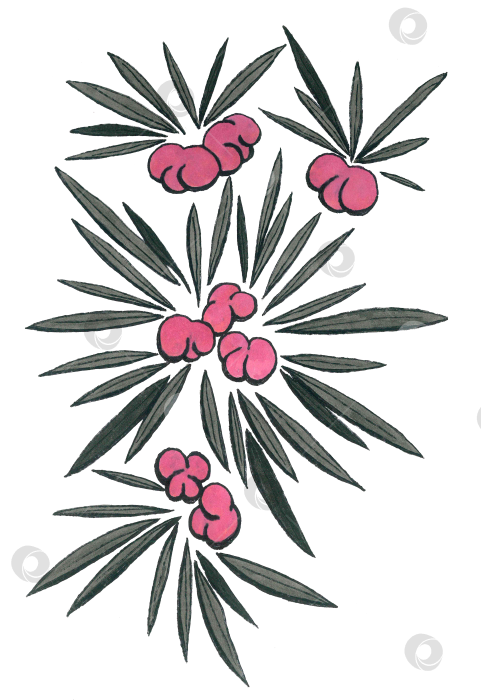 Скачать Геометрический цветочный узор с длинными серыми листьями и округлыми розовыми ягодами фотосток Ozero