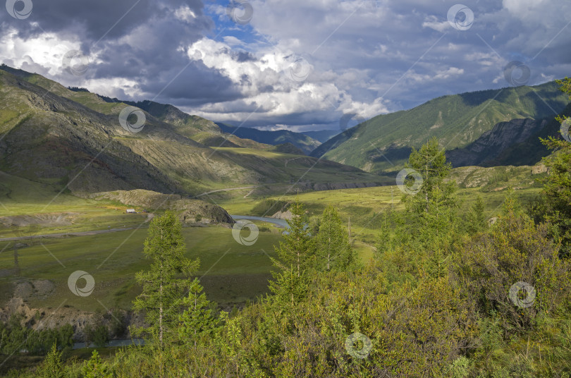 Скачать Горная долина под вечерним солнцем. Алтай, Россия. Река Чуя фотосток Ozero