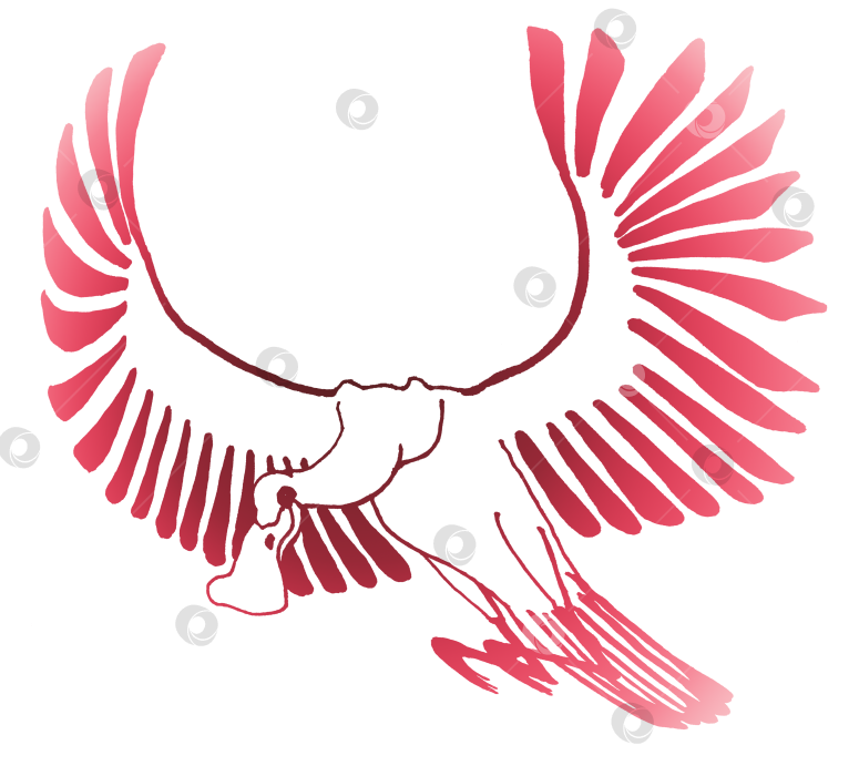 Скачать Большая птица с распростертыми дугой крыльями и наклоненной головой на длинной шее в розовом градиенте фотосток Ozero