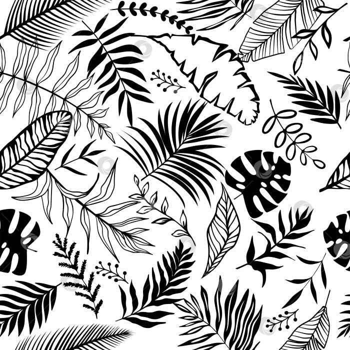 Скачать Белые и черные бесшовные экзотические листья. Яркая тропическая векторная иллюстрация с пальмовыми листьями, банановыми листьями, монстерой для декора, обоев, обложек фотосток Ozero