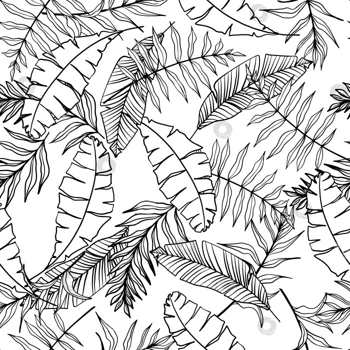 Скачать Бесшовный вектор тропических листьев. Фон из пальмовых листьев фотосток Ozero