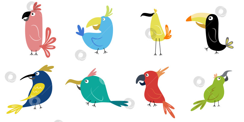 Скачать Забавные мультяшные птички. Коллекция иллюстраций попугаев фотосток Ozero