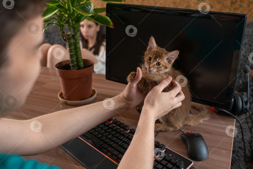 Скачать молодой человек сидит за компьютером и играет с рыжим котенком фотосток Ozero