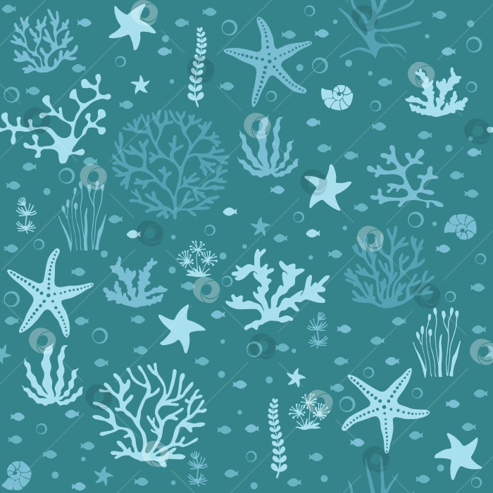 Скачать Бесшовный фон из нарисованных от руки морских раковин и звезд. Морская иллюстрация с изображением моллюсков. фотосток Ozero