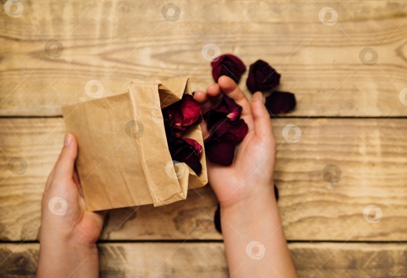 Скачать Крупный план женщины, держащей в руке коричневый бумажный пакет с высушенными лепестками роз. фотосток Ozero