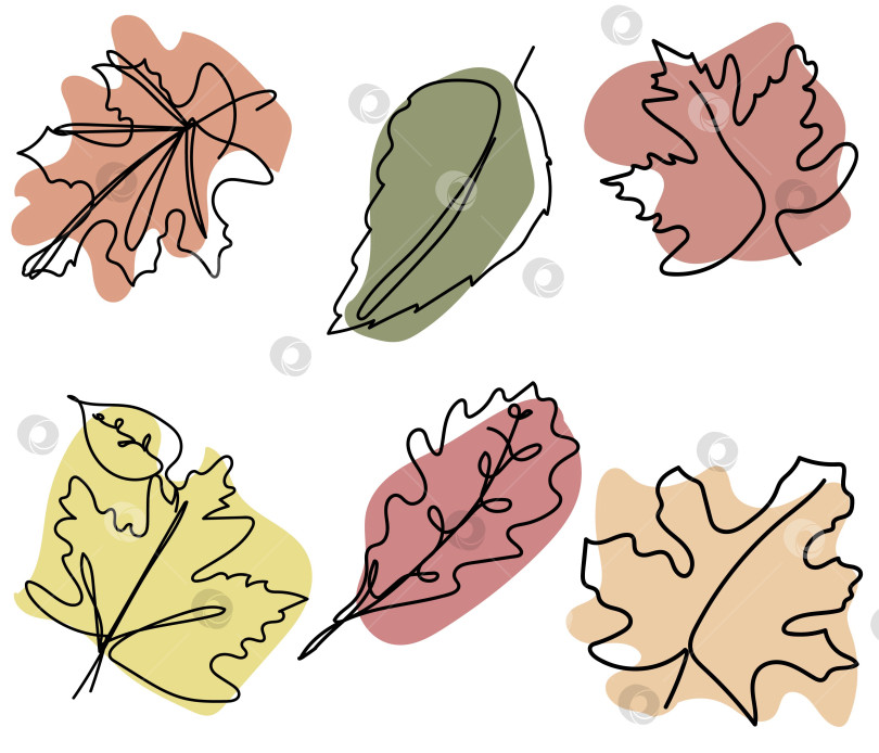 Скачать Непрерывный-листья-цвет фотосток Ozero