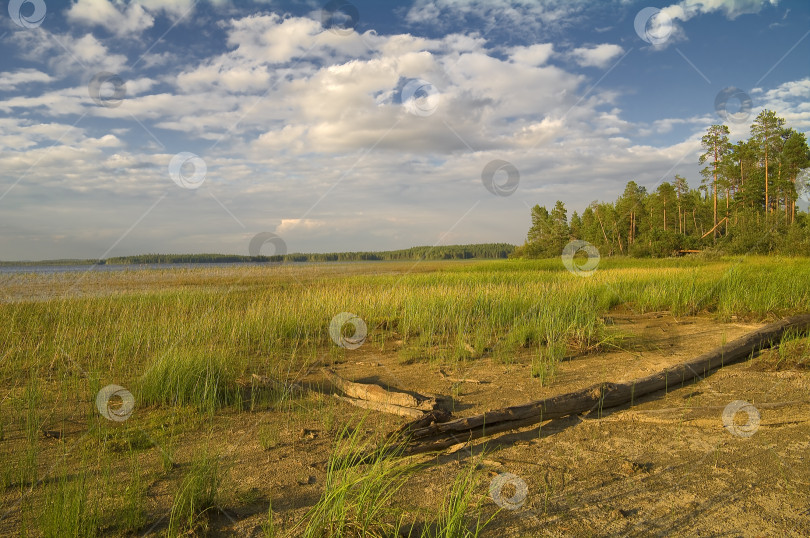 Скачать Обмелевшее озеро. фотосток Ozero