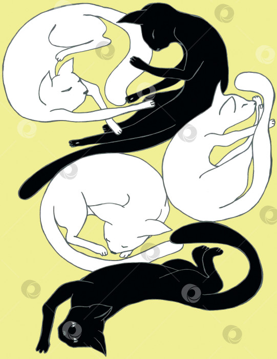 Скачать Силуэты черных и белых кошек на светло-желтом фоне фотосток Ozero