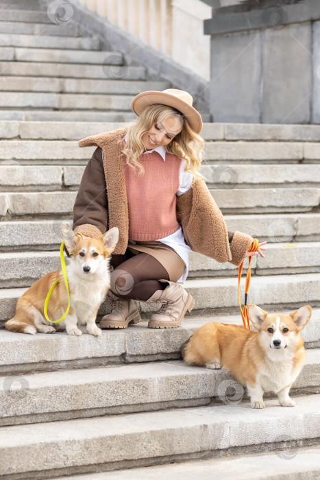 Скачать Молодая блондинка в шляпе на прогулке в парке с собаками породы вельш-корги-пемброк.Весна фотосток Ozero