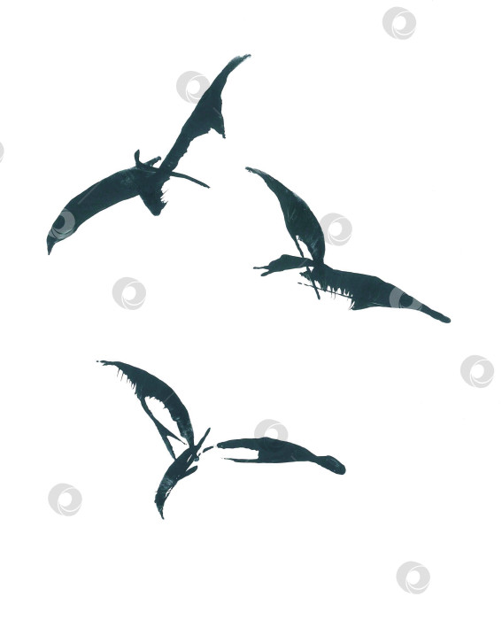 Скачать Интуитивно понятная иллюстрация для рисования тушью. Стилизованное изображение летящего самолета фотосток Ozero