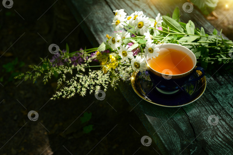 Скачать Травяной чай, чашка чая и букет цветов ромашки и полевых цветов фотосток Ozero