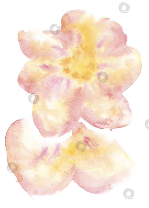 Скачать Абстрактное стилизованное акварельное изображение большого нежного желто-розового фотосток Ozero