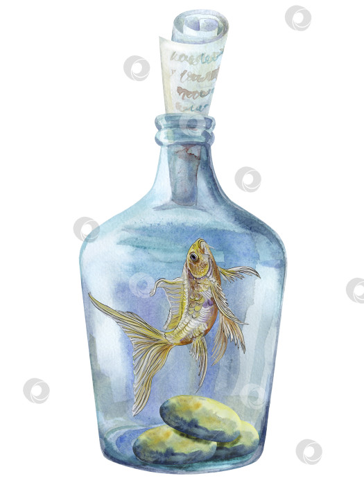 Скачать Золотая рыбка в синей стеклянной бутылке с надписью и камнями на дне. Акварельная иллюстрация, нарисованная от руки. фотосток Ozero