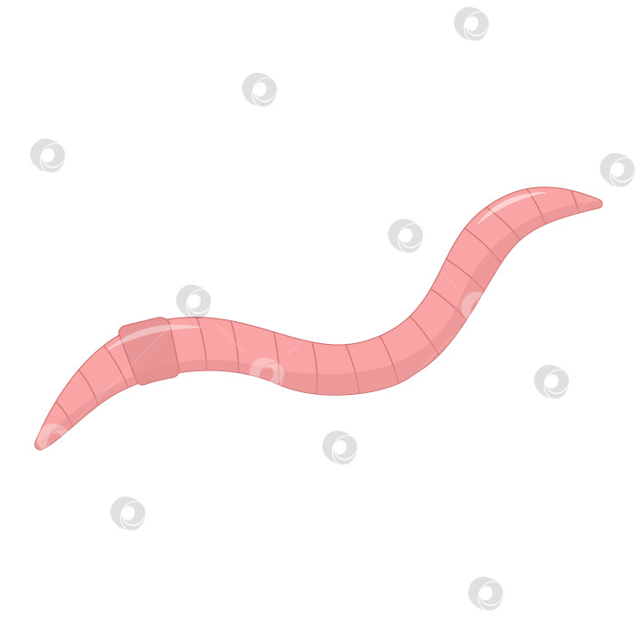 Скачать Иллюстрация в мультяшном стиле дождевого червя, изолированная на белом фоне фотосток Ozero