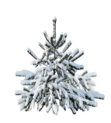 [object Object] undefined