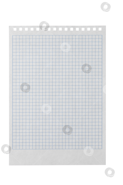 Скачать лист белой бумаги для письма в клетку с отверстиями для пружины, изолируйте фотосток Ozero