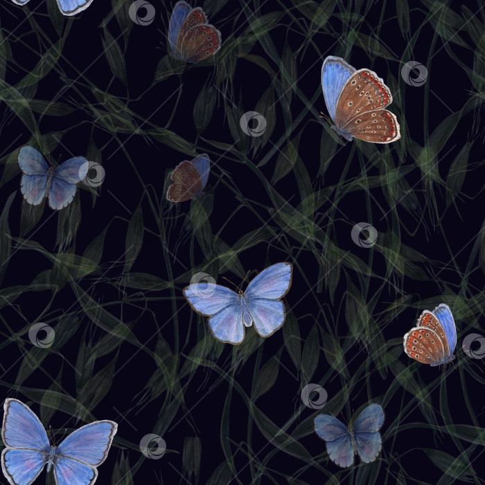 Скачать Акварельный бесшовный узор из летящих голубых бабочек, выделяющихся на темном фоне дикого овса. Для дизайна поздравительных открыток, шаблонов приглашений, принтов, обоев, ткани, текстиля, упаковки. фотосток Ozero