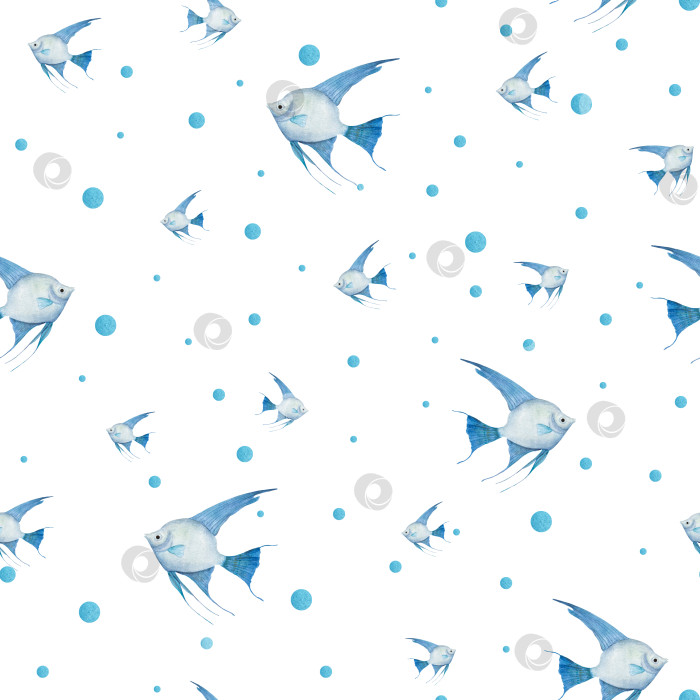 Скачать Акварельный бесшовный узор из голубых рыбок-ангелов, выделенных на белом фоне. Для оформления поздравительных открыток, меню, фона, принтов, обоев, ткани, текстиля, упаковки. фотосток Ozero