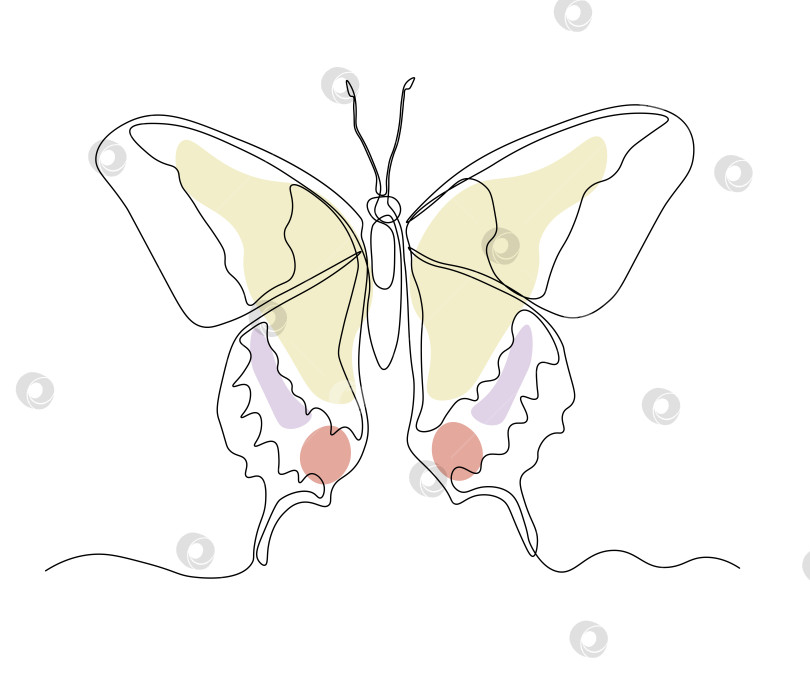 Скачать бабочка, нарисованная от руки, монолинейная, в одну линию. Логотип фотосток Ozero