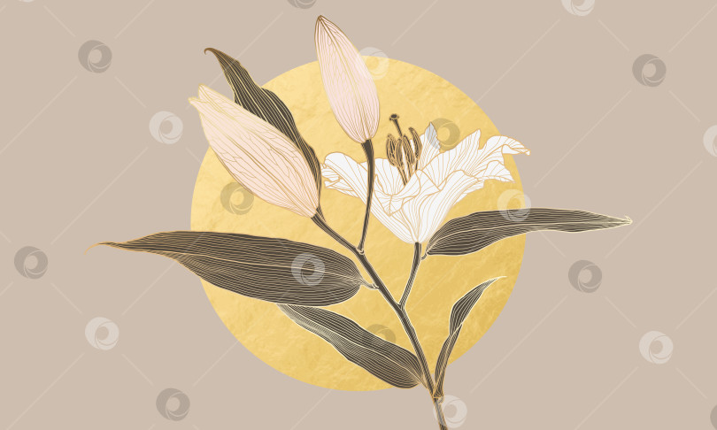 Скачать Роскошный цветок лилии в стиле ар-деко с золотым линейным рисунком и круглой луной из золотой фольги фотосток Ozero
